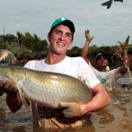 Aquecimento global afeta desenvolvimento dos peixes na zona equatorial