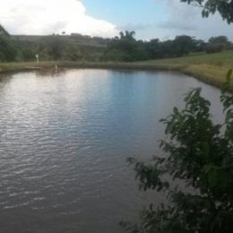 Projeto Campo Futuro da Aquicultura levanta informações no Paraná