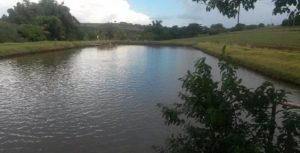 Projeto Campo Futuro da Aquicultura levanta informações no Paraná