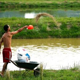 Mas, afinal, o que é aquicultura?