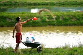 Mas, afinal, o que é aquicultura?