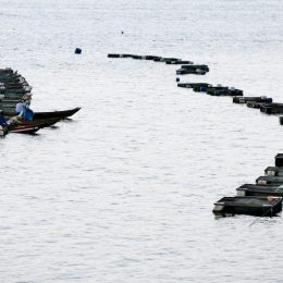 Conselho propõe mudanças para FCO Rural em 2016