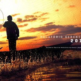 MPA comemora os 3 anos da Lei de Acesso à Informação