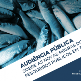 MPA disponibiliza documentos sobre Terminais Pesqueiros