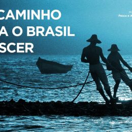 Um caminho para o crescimento do Brasil