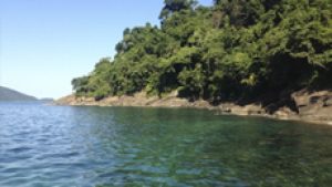 Fazenda marinha permitirá cultivo de plantas e animais