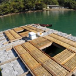 Fazenda marinha permitirá cultivo de plantas e animais