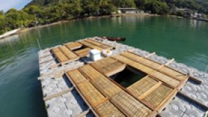 Fazenda marinha permitirá cultivo de plantas e animais