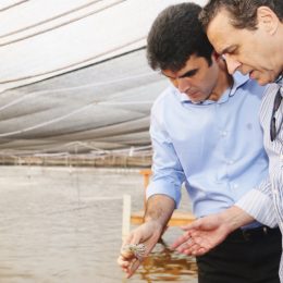 Helder garante empenho para conclusão de TPP no Rio Grande do Norte