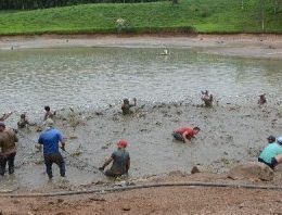 Epagri vai capacitar piscicultores do Sul do Estado