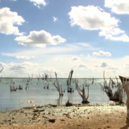 Seca do São Francisco dificulta navegação e faz peixes sumir