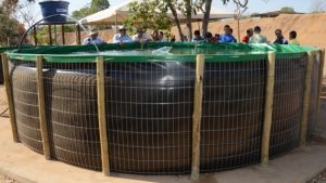 Agosto Verde expõe técnicas de Piscicultura a pequenos produtores rurais