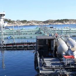 Seminário debate aquicultura marinha na Noruega