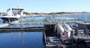 Seminário debate aquicultura marinha na Noruega