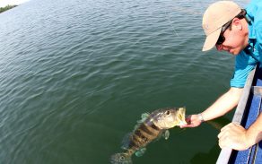 Pesca esportiva ganhará regras modernas em Serra da Mesa