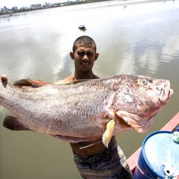 MPA divulga setor pesqueiro na Europa