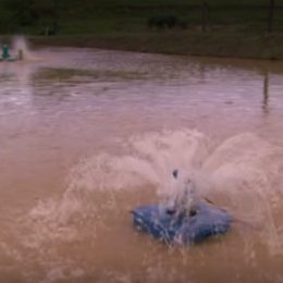 Criador monta aerador para tanques de peixe que não gasta energia