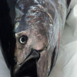 Menino de 10 anos pesca atum de 220 kg