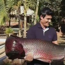 Típico da Amazônia, peixe 'gigante' é fisgado no rio Grande, em Indiaporã
