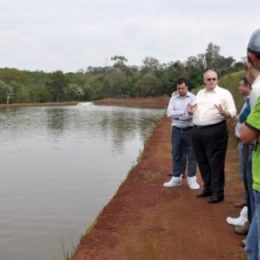 PISCICULTURA: Como apoio do BRDE e Copacol, produtor dobra criação de tilápias
