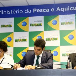 CPGs inauguram novo tempo no setor pesqueiro do Brasil