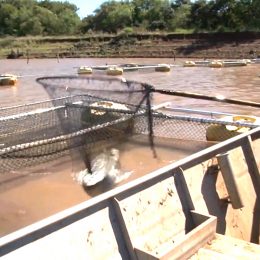 Helder e Michel Temer vão à Rússia e à Polônia em busca de investimentos