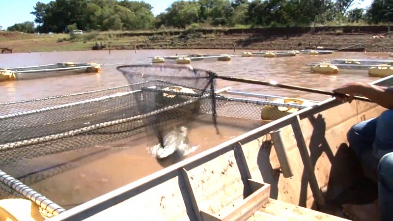 Helder e Michel Temer vão à Rússia e à Polônia em busca de investimentos