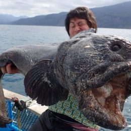 Pescadores acreditam ter fisgado peixe mutante afetado por acidente em Fukushima