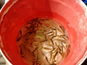 20151203010559_Image4