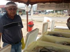 Agricultor vende mais de 2 toneladas de peixe em 24h de projeto popular