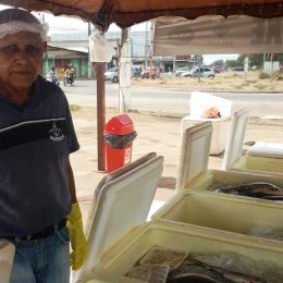 Agricultor vende mais de 2 toneladas de peixe em 24h de projeto popular