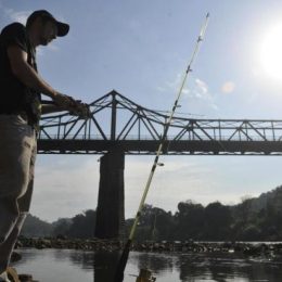 Especialista não recomenda consumo de peixes do rio Itajaí-Açu, em Blumenau