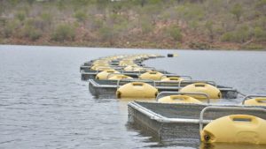 Plano para desenvolver Piscicultura no território Entre Rios será lançado nesta terça