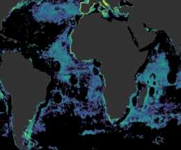Pesca cobre mais de 55% dos oceanos; impacto é maior onde não há gestão pesqueira