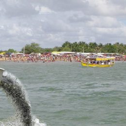 Codevasf insere peixes de espécies desaparecidas no São Francisco