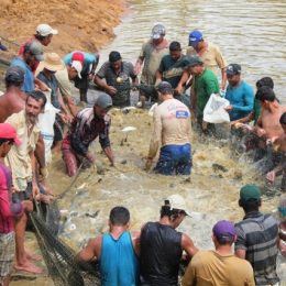 Consultor do Ministério da Pesca fala de importância de diálogo entre governo e piscicultores