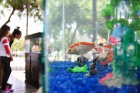 Doação de peixes em Campos no Dia Mundial da Água