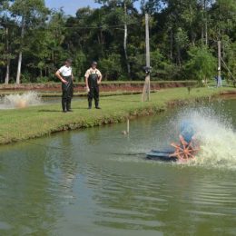 Aumenta prazo de duração das licenças ambientais