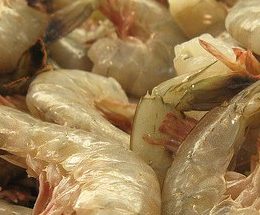 Cai liminar que proibia camarão equatoriano; ABCC: Não iremos aceitar