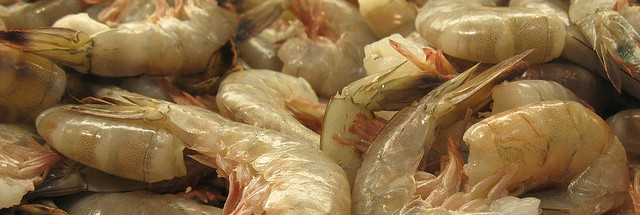 Cai liminar que proibia camarão equatoriano; ABCC: Não iremos aceitar