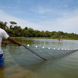 Senar realiza capacitação sobre produção de peixes