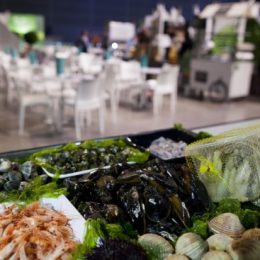 Peixe e marisco já ocupam o Pavilhão Carlos Lopes