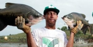 Peixes redondos despertam interesse, aumentando a produção e o consumo no país