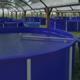 Bahia Pesca apresenta sistema de piscicultura para o semiárido