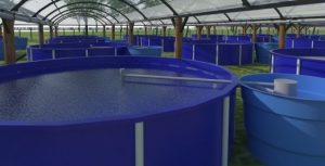 Bahia Pesca apresenta sistema de piscicultura para o semiárido