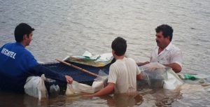 Emater/RS-Ascar incentiva a produção de peixes em gaiolas em Rio Pardo