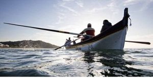 Pesca é alternativa para maior participação no agro mundial
