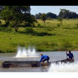 Encontro em Marília discute sobre tecnologia e controle de qualidade do pescado