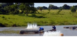 Encontro em Marília discute sobre tecnologia e controle de qualidade do pescado