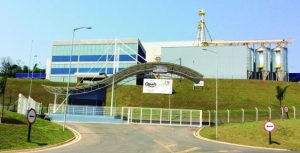 Mercado aquícola crescerá mais de 100% no Brasil até 2025